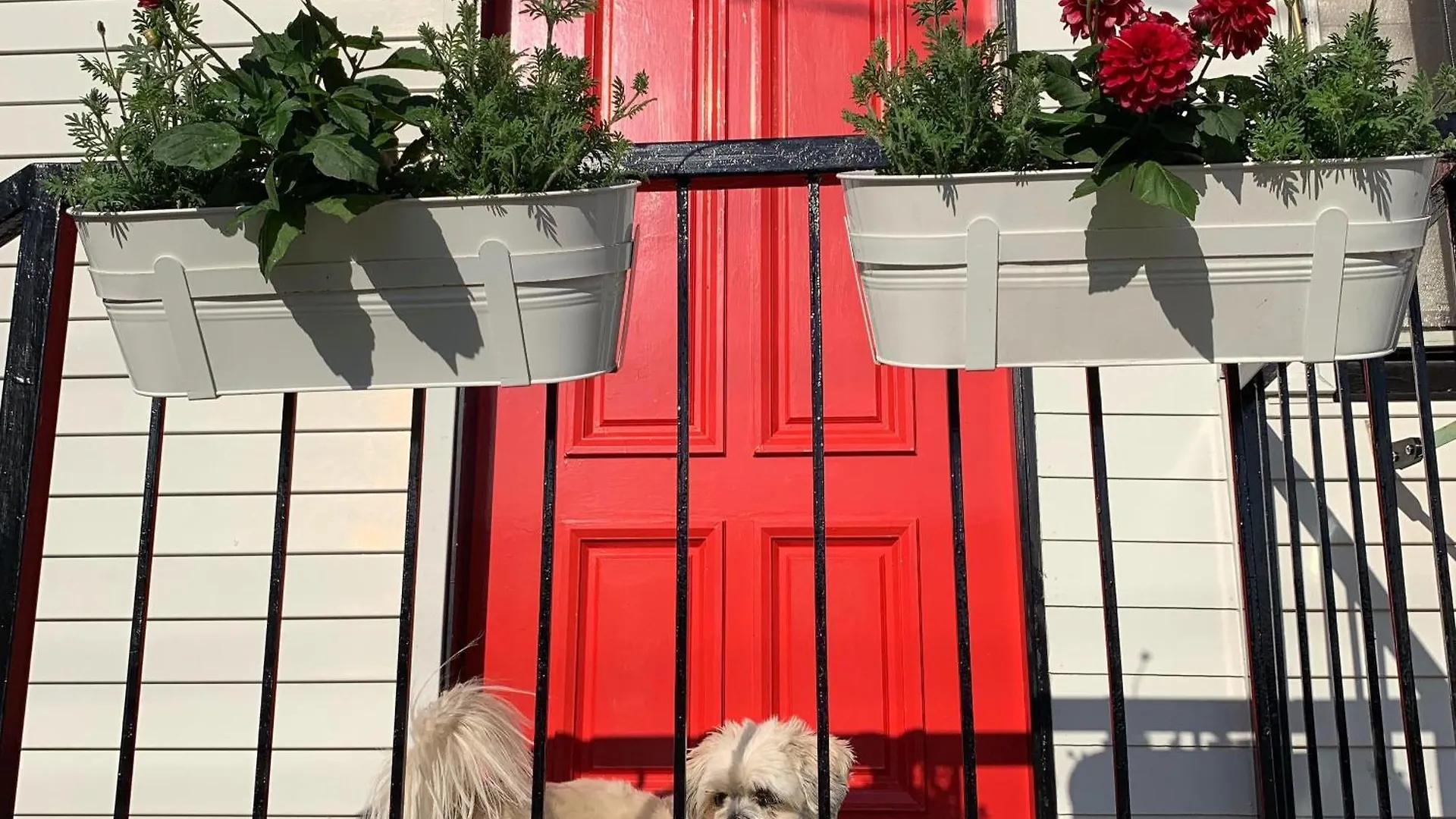 Family And Pet Friendly Home In Brisbane